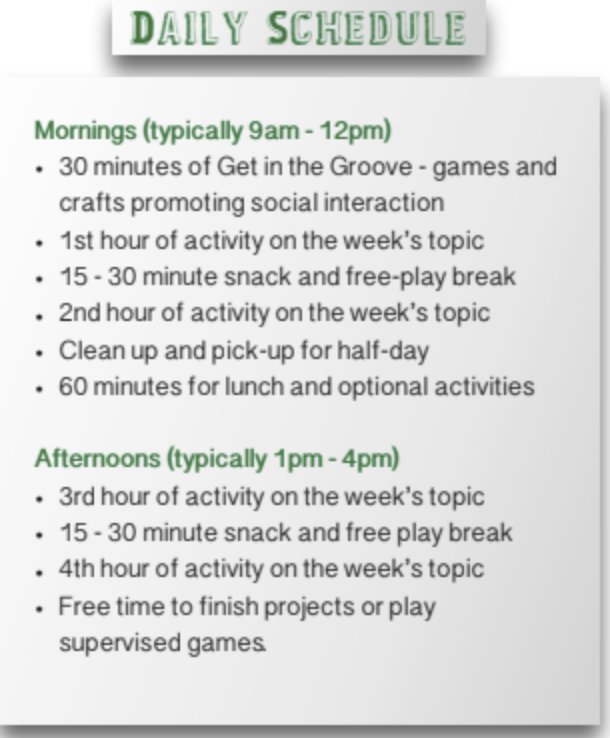 Medfield Park & Recreation: Summer Minecraft Mania Camp